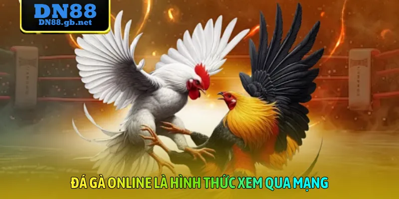 Đá gà online là hình thức xem qua mạng