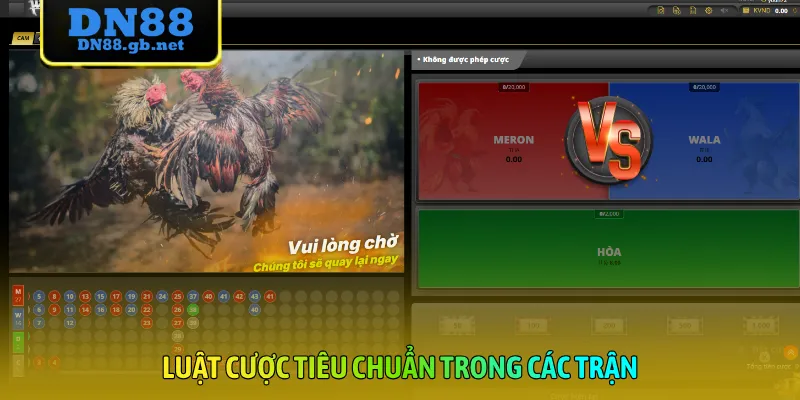 Luật cược tiêu chuẩn trong các trận