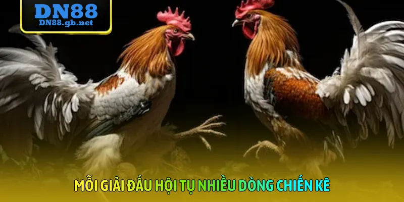 Mỗi giải đấu hội tụ nhiều dòng chiến kê