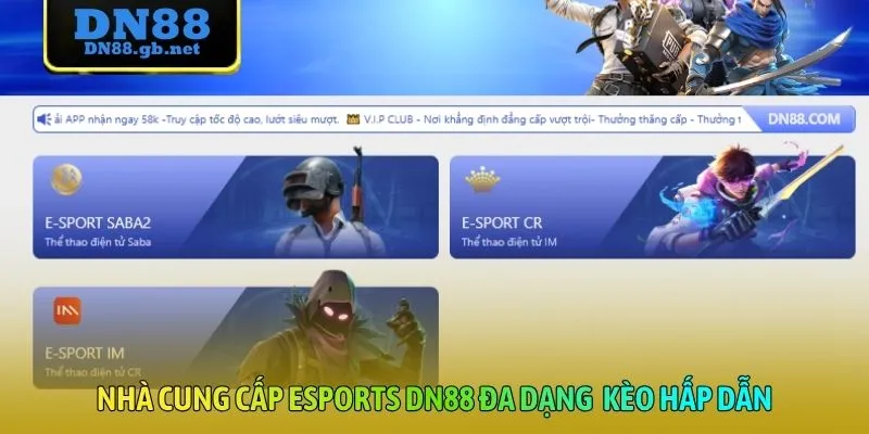 Nhà cung cấp Esports DN88 đa dạng kèo hấp dẫn