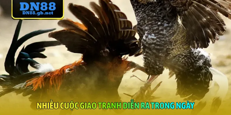 Nhiều cuộc giao tranh diễn ra trong ngày