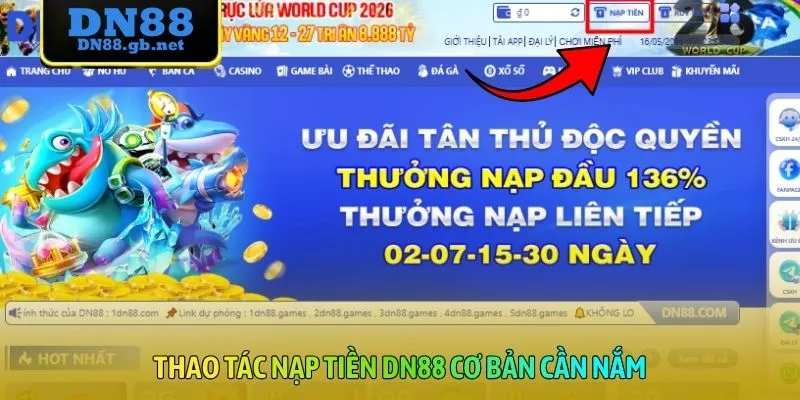 Thao tác nạp tiền DN88 cơ bản cần nắm
